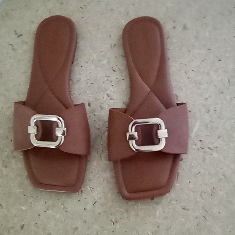 Brown Slide Sandals with GoldBuckle